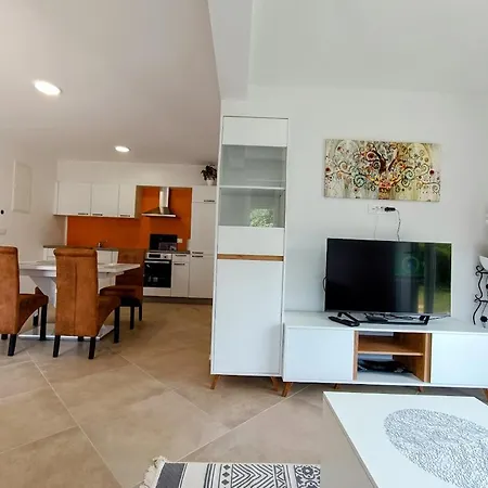 Apartma Lana アパート