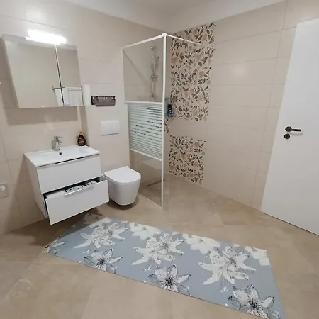 Apartment Apartma Lana *